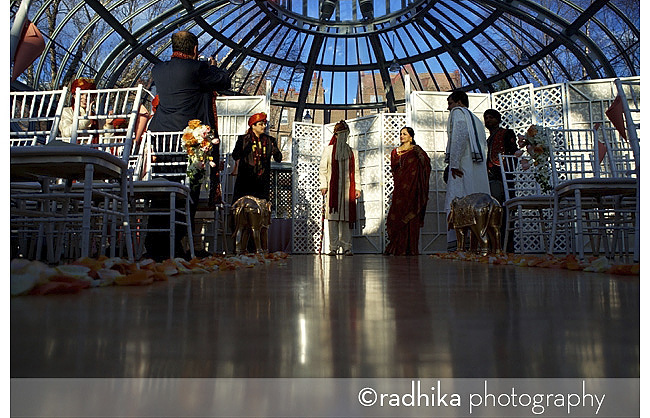 indian wedding brooklyn botanic garden